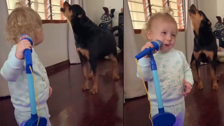 Μωρό και σκύλος κάνουν ντουέτο