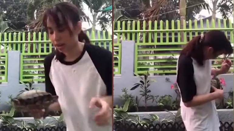 Xελώνα δαγκώνει την ιδιοκτήτριά της