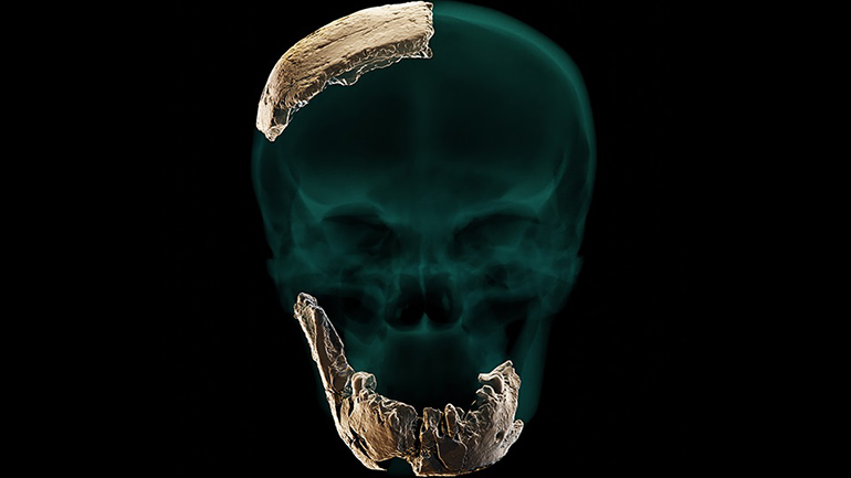 Nesher Ramla: Ένας άγνωστος έως τώρα Homo ανακαλύφθηκε στο Ισραήλ Nesher Ramla: Ένας άγνωστος έως τώρα Homo ανακαλύφθηκε στο Ισραήλ