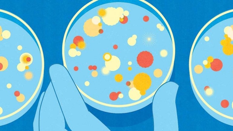 Δεκάδες χιλιάδες ιοί βρέθηκαν στο εντερικό μικροβίωμα που ήταν προηγουμένως άγνωστοι