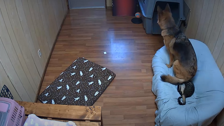 Είσαι και εσύ εδώ;