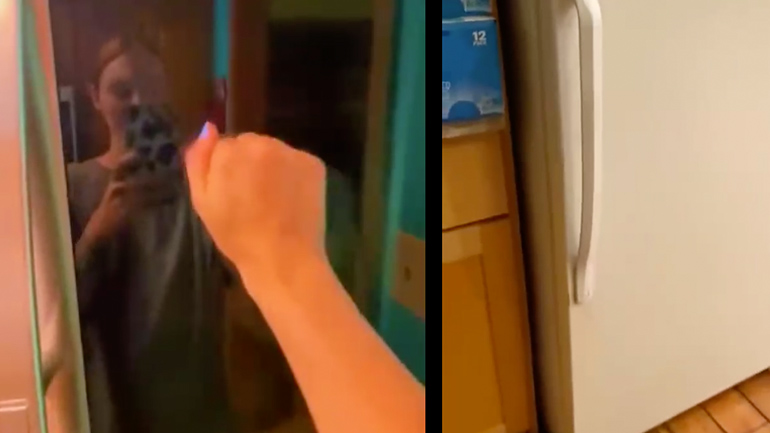 Ποιο ψυγείο θα διάλεγες;