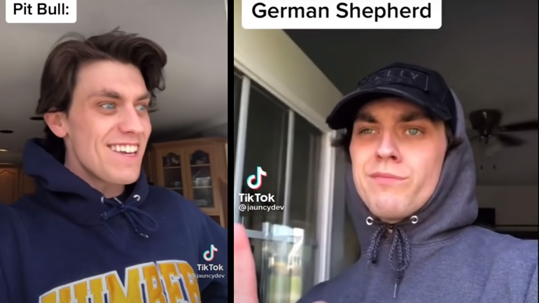 Αν οι σκύλοι ήταν άνθρωποι Αν οι σκύλοι ήταν άνθρωποι