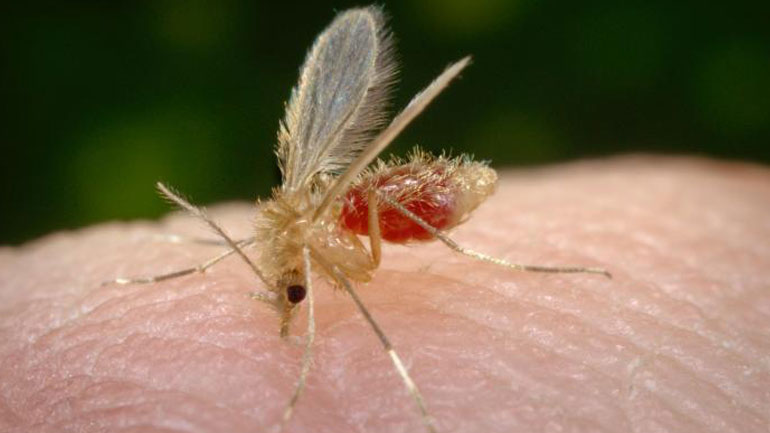 Η DeepMind χρησιμοποιεί τεχνητή νοημοσύνη (AI) για να αντιμετωπίσει παραμελημένες θανατηφόρες ασθένειες