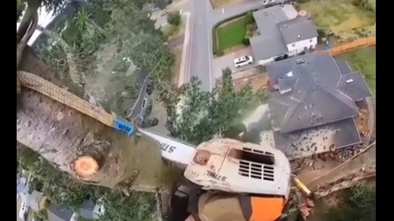 Ξυλοκόπος κόβει έναν κορμό 