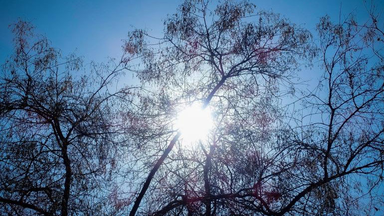 Μικρή υποχώρηση της θερμοκρασίας σήμερα έως τους 40 βαθμούς και καταιγίδες στα βορειοανατολικά Μικρή υποχώρηση της θερμοκρασίας σήμερα έως τους 40 βαθμούς και καταιγίδες στα βορειοανατολικά