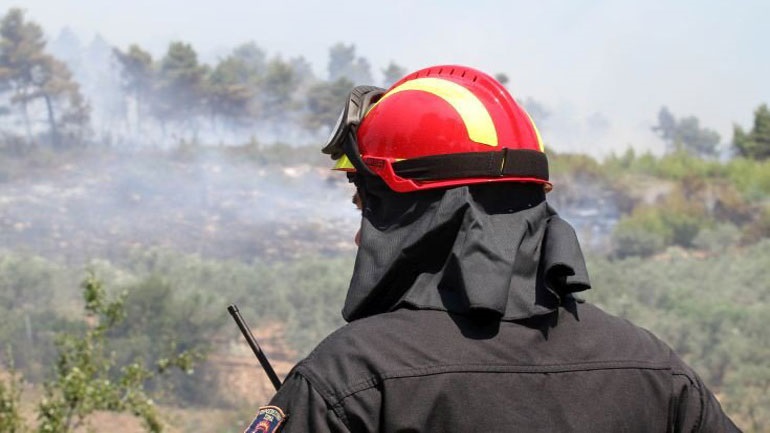 Σε εξέλιξη φωτιές σε Θάσο και Καστοριά – Υπό μερικό έλεγχο η φωτιά στο Κιλκίς