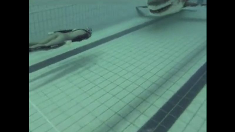 Καρχαρίας στην πισίνα