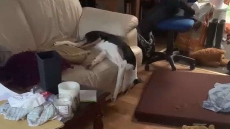 Τι έγινε ρε παιδιά;