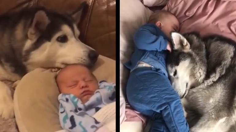 Το νέο μέλος της οικογένειας