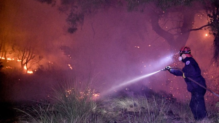 Πυρκαγιά σε δασική έκταση στη Σιθωνία Χαλκιδικής