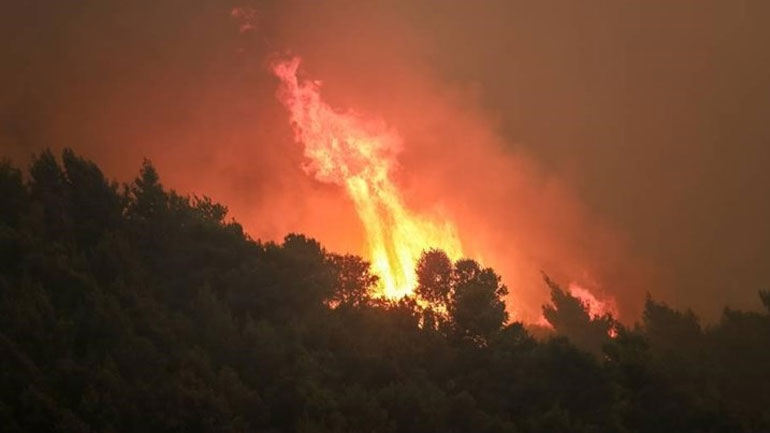Οριοθετήθηκε η φωτιά στη Σιθωνία Χαλκιδικής
