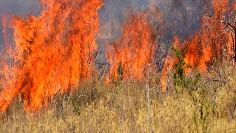 Υπό έλεγχο η πυρκαγιά στη Συκάμινο Ωρωπού