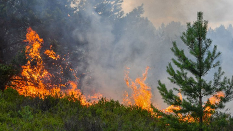 Το τελευταίο 24ωρο εκδηλώθηκαν 68 πυρκαγιές