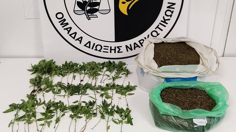 Δενδρύλλια και 2,5 κιλά κάνναβη εντοπίστηκαν σε σπίτι στο Κιλκίς