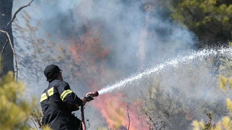Υπό μερικό έλεγχο η πυρκαγιά στην Ριτσώνα Ευβοίας