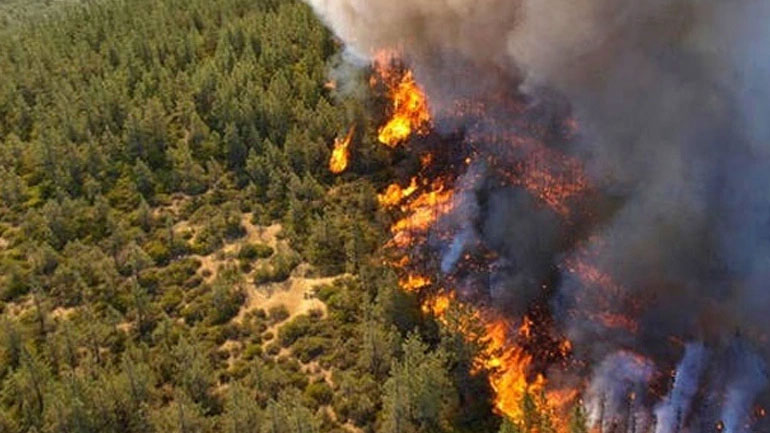 Σε εξέλιξη η φωτιά στην Κύπρο – Δύσκολη η κατάσταση και τεράστια καταστροφή