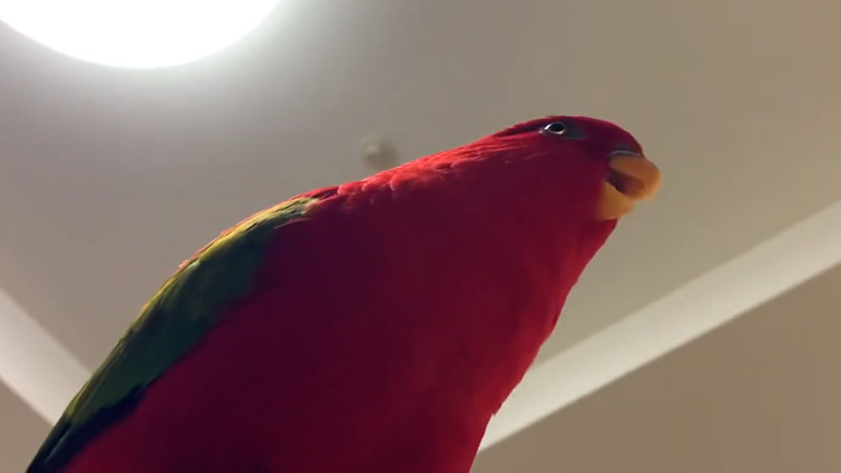 Άδειασε η μπαταρία του αυτοκινήτου