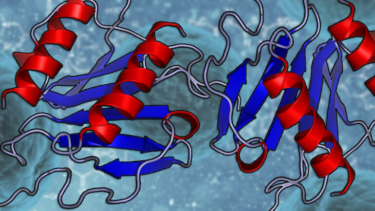 Οι επιστήμονες αποκρυπτογραφούν λεπτομέρειες της ενεργοποίησης των ανοσοκυττάρων