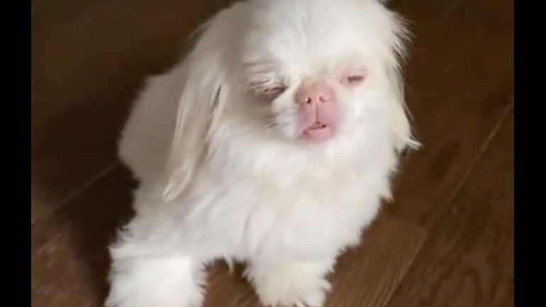 Όταν θες να είσαι με την παρέα, αλλά νυστάζεις