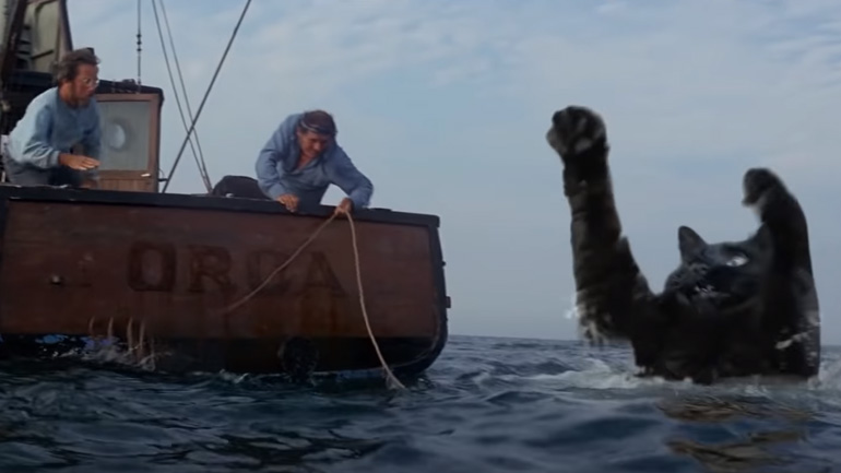 Τα νύχια της γάτας