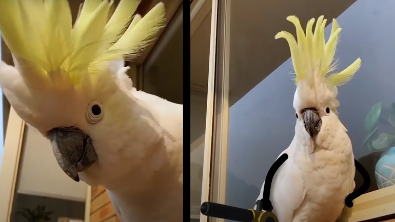 Φυσάει σήμερα…