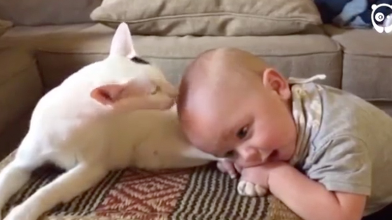 Η γάτα κάνει baby sitting στο μωρό