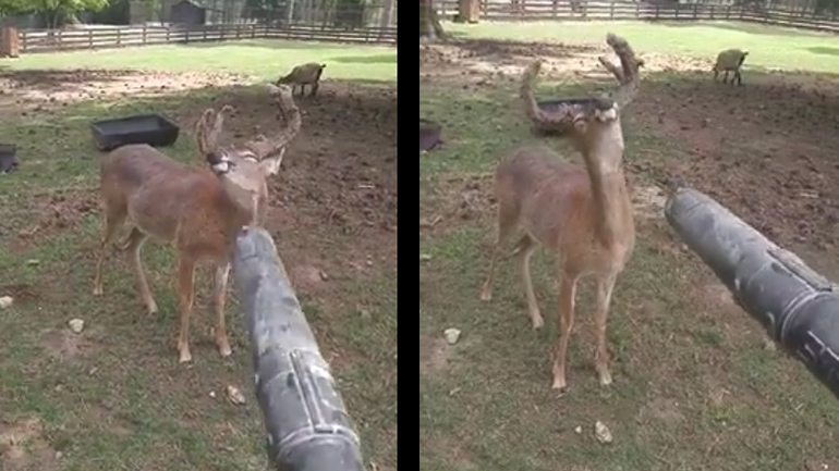 Εμένα φύσα!