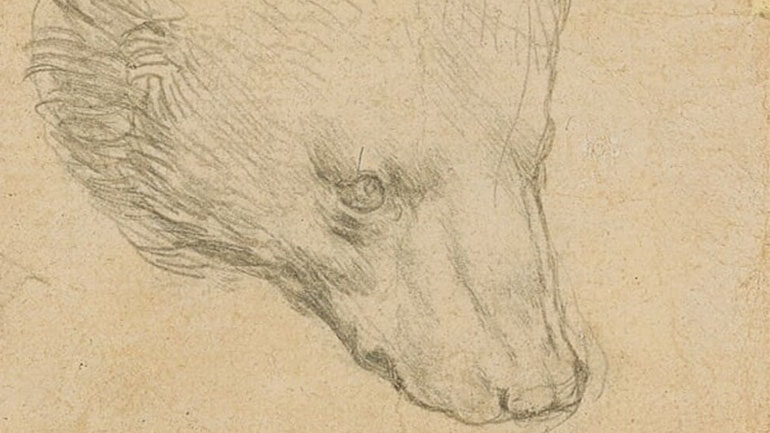 Το «Αρκουδάκι» του Λεονάρντο ντα Βίντσι πωλήθηκε 51 εκατ. ευρώ