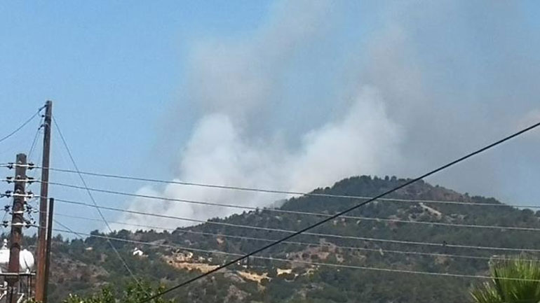 Φωτιά στη Λεμεσό της Κύπρου – Επιχειρούν επίγειες και εναέριες δυνάμεις πυρόσβεσης