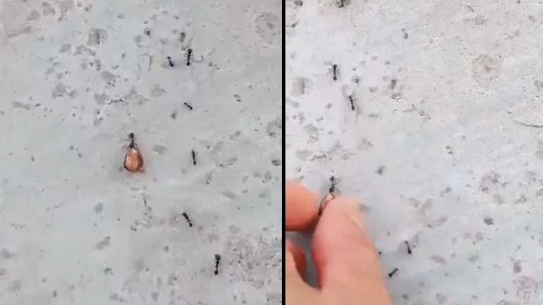 Χείρα βοηθείας