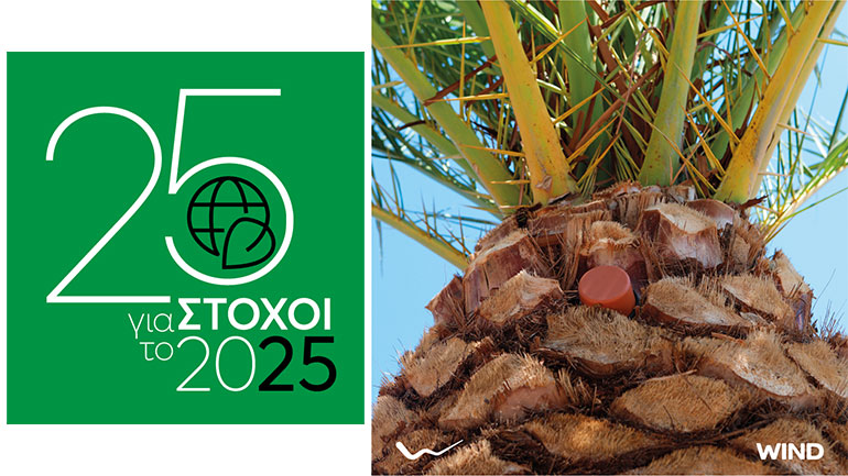 WIND: Έξυπνη ΙoΤ λειτουργία για την προστασία των φοινίκων του Ρεθύμνου