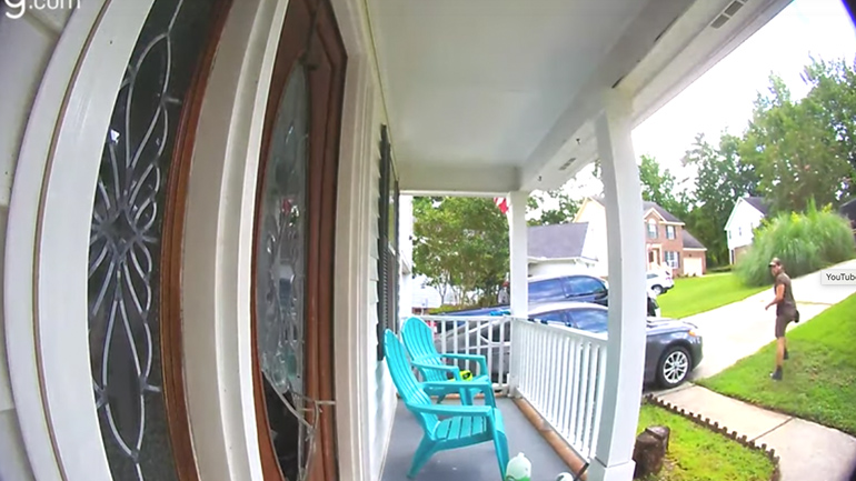 Σκύλος σπάει το τζάμι της πόρτας