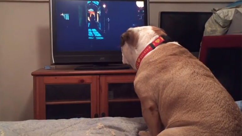 Ο σκύλος συμμετέχει στην ταινία τρόμου