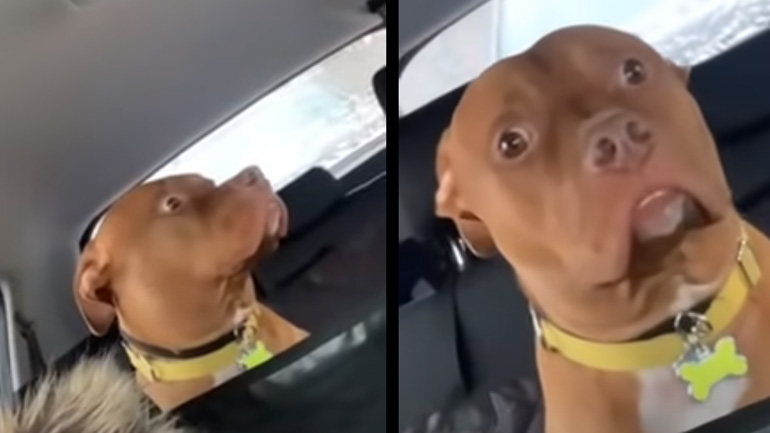 Φιάσκο η βόλτα στο πάρκο