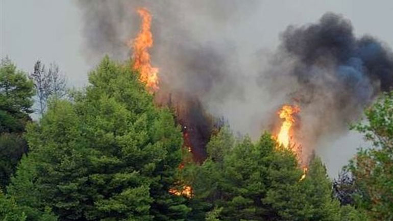 Σε ύφεση η πυρκαγιά σε ορεινή περιοχή του Δήμου Καντάνου-Σελίνου