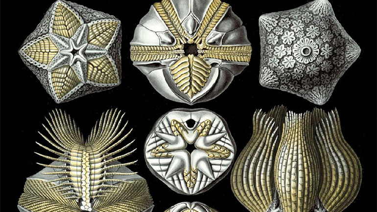 Δύο ακόμη διηγήματα του αξεπέραστου άρχοντα του τρόμου H. P. Lovecraft!