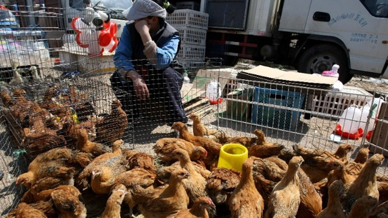 Κίνα: Επιβεβαιώθηκε ένα κρούσμα μόλυνσης από τη γρίπη των πτηνών
