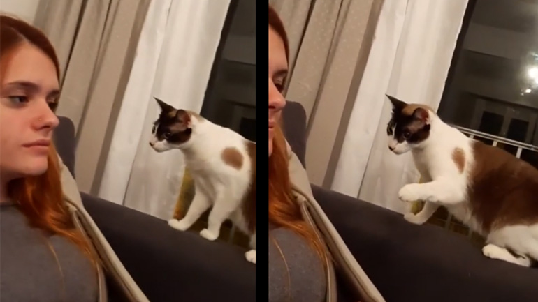 Πήρε μια τρομάρα