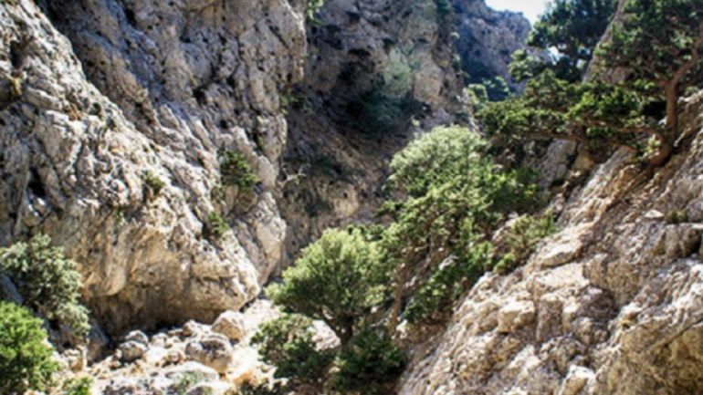 Κρήτη: Επιχείρηση διάσωσης εγκλωβισμένης οικογένειας στο φαράγγι του Ζαρού