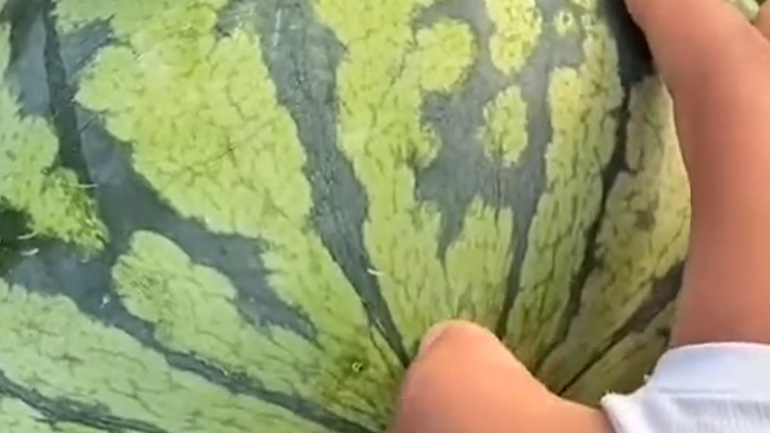 Ανοίγοντας ένα καρπούζι με το δάχτυλο