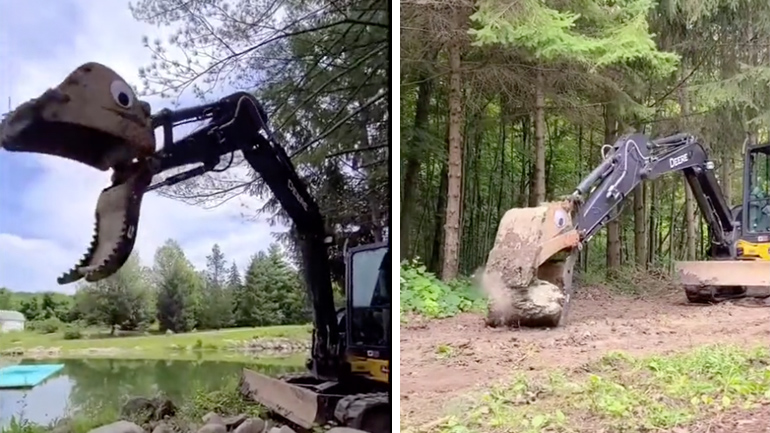 Ένα θηλυκό Tractosaurus