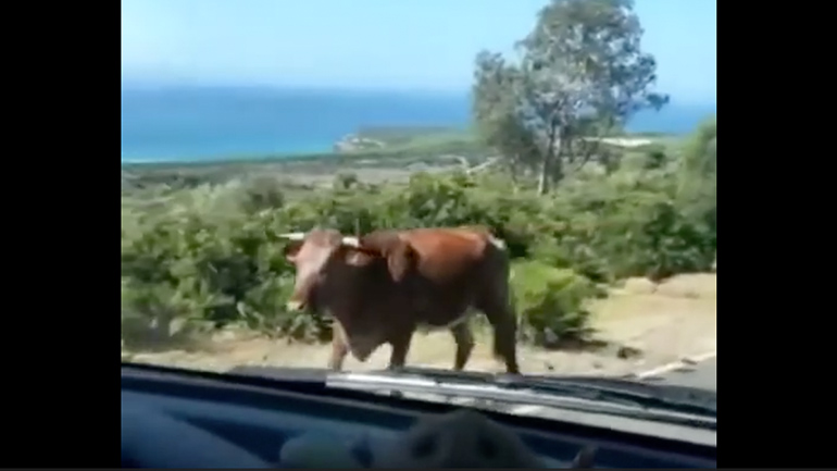 Για Μπολόνια καλά πάω;