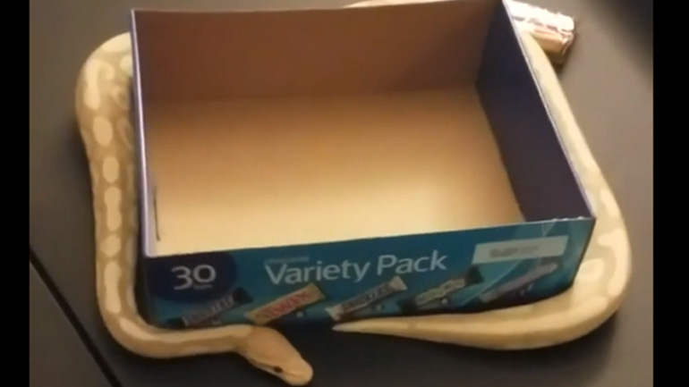 Γιατί δεν προχωράω;