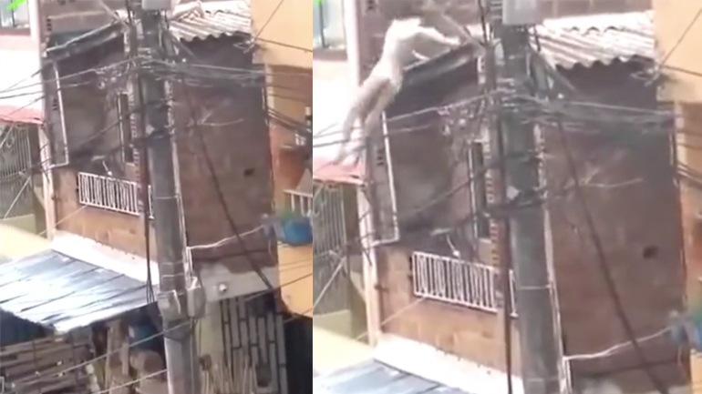 Δεν πρόλαβε να ντυθεί