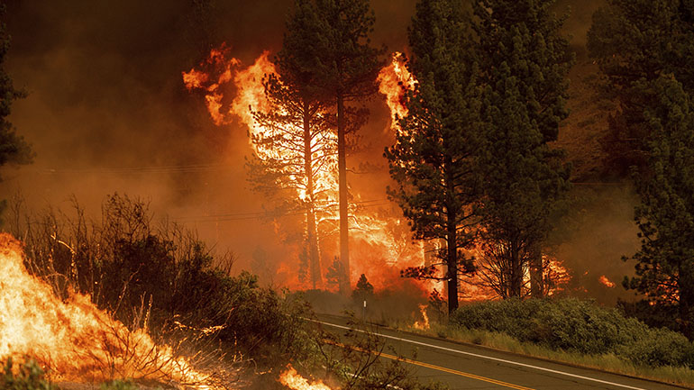 ΗΠΑ: Πάροχος ηλεκτρικού ρεύματος κατηγορείται για μεγάλη πυρκαγιά