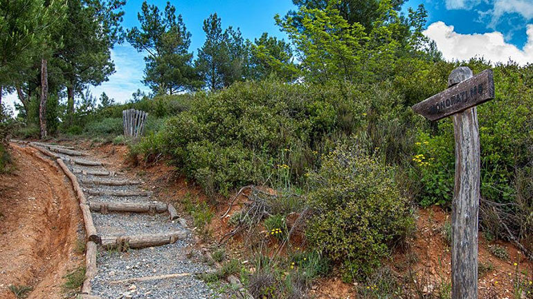 Θεσσαλονίκη: Απαγόρευση κυκλοφορίας στο Σέιχ Σου λόγω αυξημένου κινδύνου πυρκαγιάς