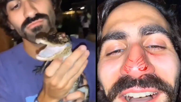 Ο μικρός αλιγάτορας δεν θέλει φιλιά Ο μικρός αλιγάτορας δεν θέλει φιλιά