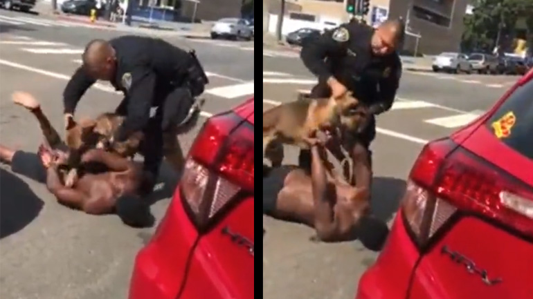 Όταν ένας αστυνομικός σκύλος δεν ακούει Όταν ένας αστυνομικός σκύλος δεν ακούει