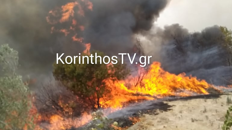 Ανεξέλεγκτη η φωτιά στο Σπαθοβούνι Κορινθίας – Κατευθύνεται προς Αρχαίες Κλεωνές